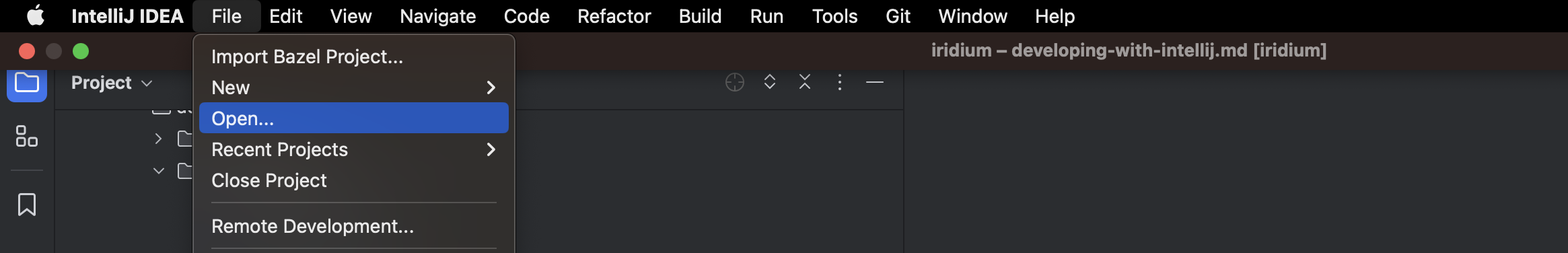 Open with Intellij