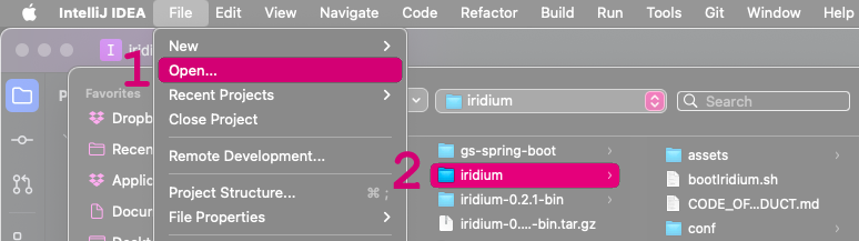 Open with Intellij